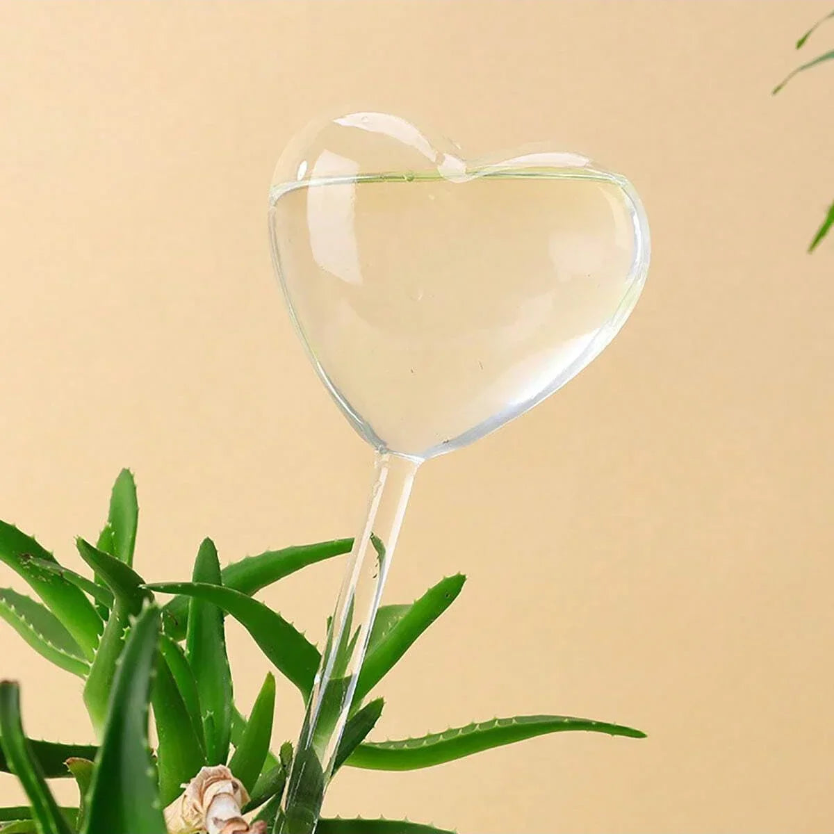Hartjesvorm waterdruppelaar